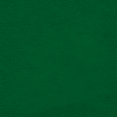 Салфетка бумажная Биг Пак ЗЕЛЕНАЯ 24*24 (400 лист.пач)