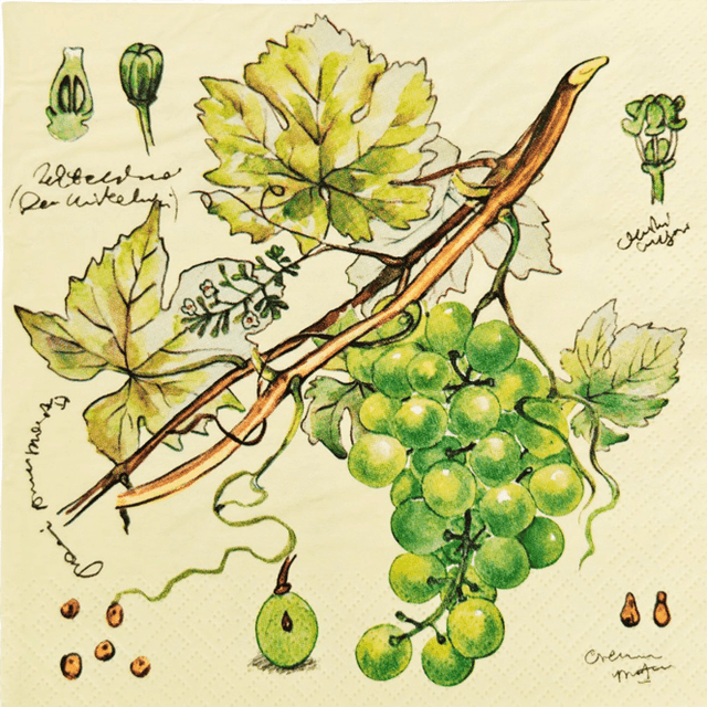 Салфетка бумажная 3-х/трехслойная 33*33 "Перышко" (20 лист.пач), Виноград