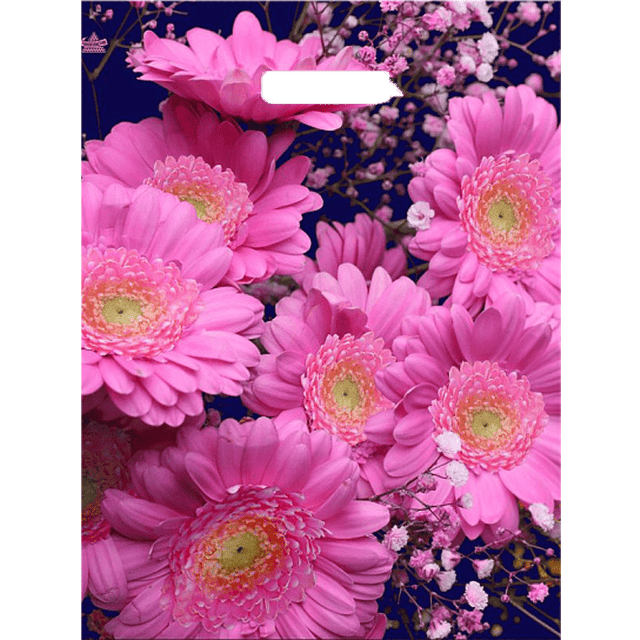 Пакет 38*45 см Яркие герберы прорезь 60 мкм Тико