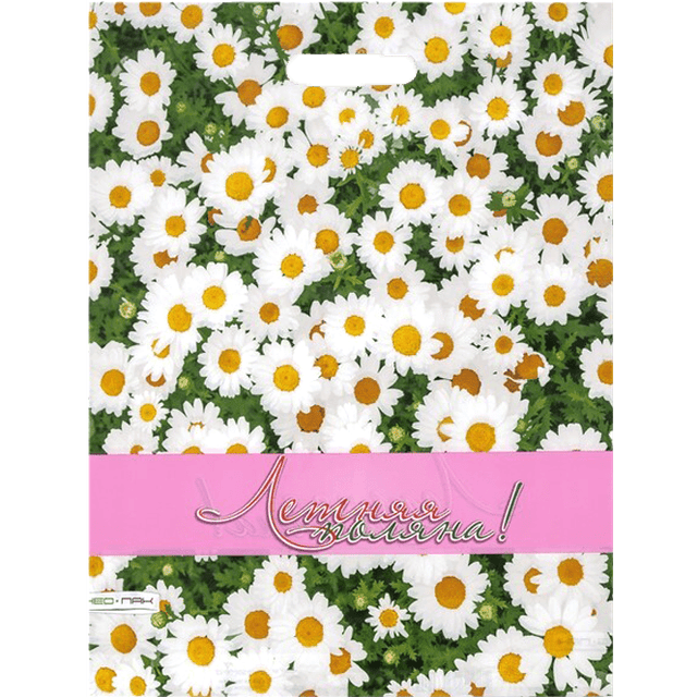 Пакет 38*47 см Летняя поляна 60 мкм прорезь