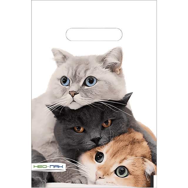 Макет 20*30 см Три кота 35 мкм прорезь НП