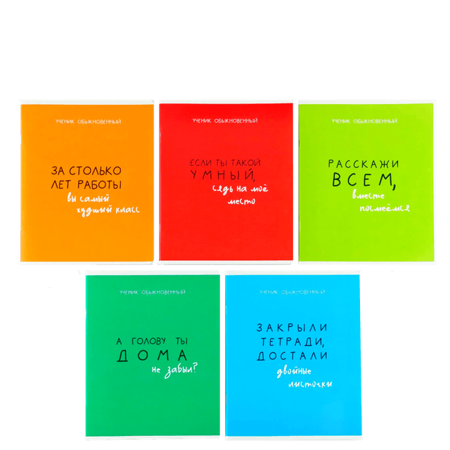 Тетрадь 48 листов, в клетку А5, №2 МИКС «1 сентября: Типичный ученик» 95% белизна