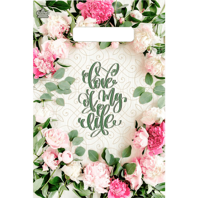 Пакет 20*30 см Романтичный прорезь миники Тико