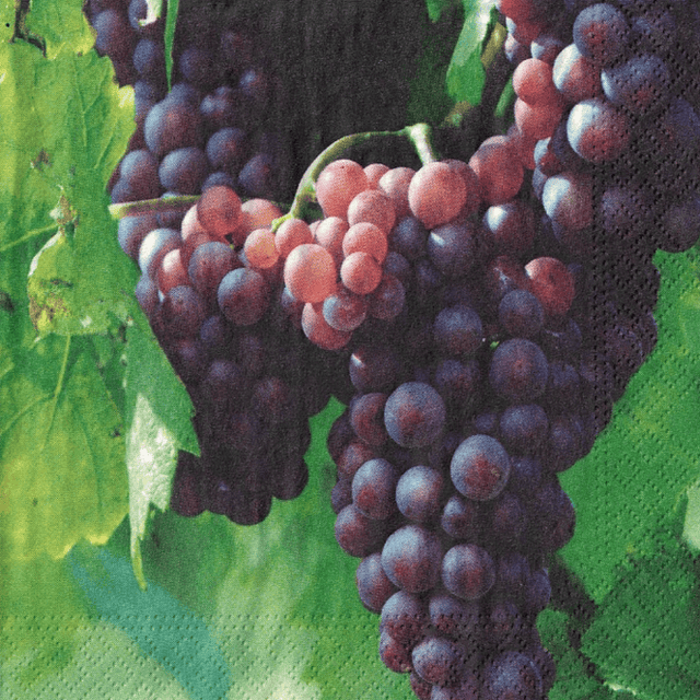 Салфетка бумажная 3-х/трехслойная 33*33 "Перышко" (20 лист.пач), Виноград