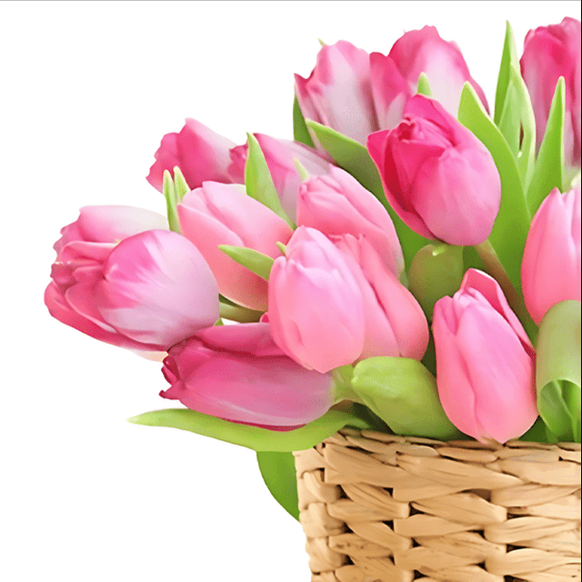 Салфетка бумажная 3-х/трехслойная 33*33 "Pero Prestige" Праздничные, (20 шт.пач), Нежный цвет