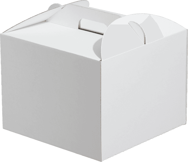 Короб картонный с ручками Белый 240*240*200 мм CARRY GO для торта ForGenika
